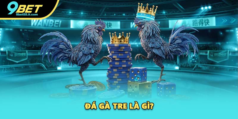 Đá gà tre là gì?